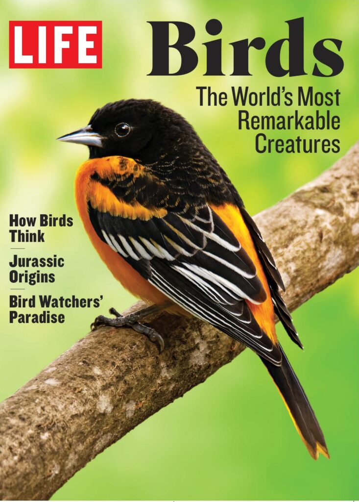 Birds: The World’s Most Remarkable Creatures