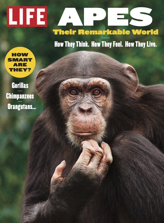 Apes: Their Remarkable World